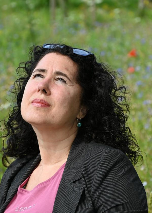 Petra: SEO met creatieve en commerciële aanpak